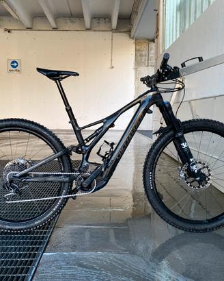 Specialized turbo levo expert carbon