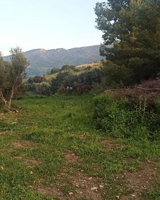Terreno agricolo 400 metri dal mare