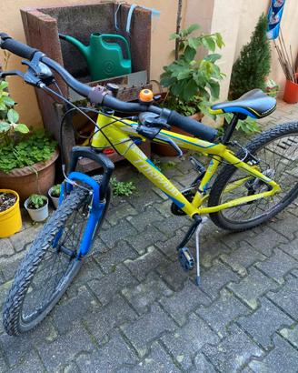 Bici Torpado T590