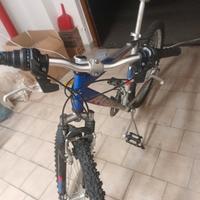 bicicletta