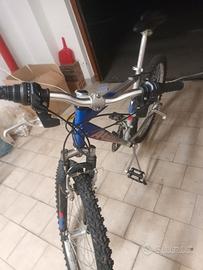 bicicletta