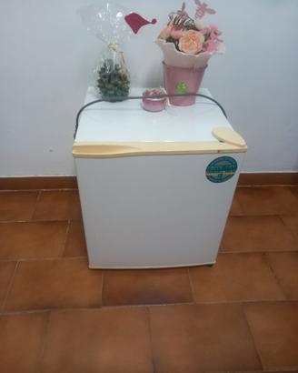 Piccolo frigorifero