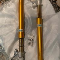 Forcelle Ohlins FG43 Road&Track
