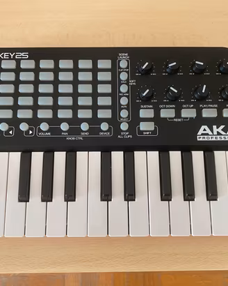 Akay APC KEY 25 pari al nuovo