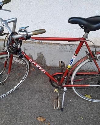 Bicicletta Vintage Eddy Merckx