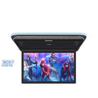 SCHERMO FULL HD PER TETTO DA 19,5"