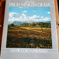 Libro "Friuli Venezia Giulia. Un piccolo universo"