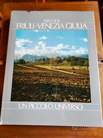 Libro "Friuli Venezia Giulia. Un piccolo universo"