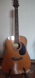 Chitarra acustica Jasmine takamine