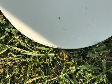 Tavola Wndsurf Naish Fly Pig