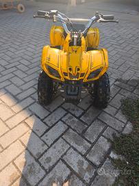 mini quad 49cc