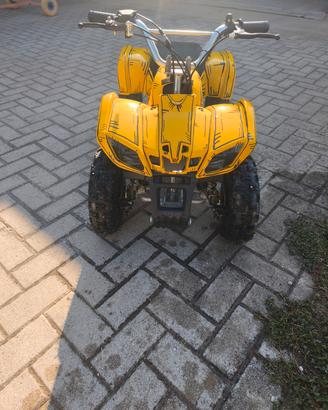 mini quad 49cc