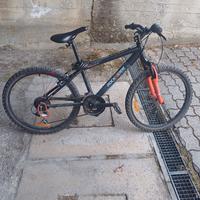 Bici 24