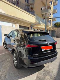 Lexus NX300H Executive Plus 4WD