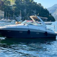 Cruiser 300 cxi
