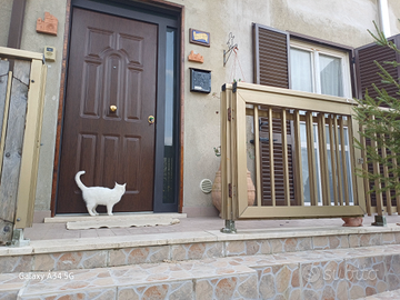 Tra fratta todina e marsciano