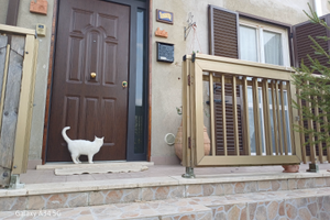 Tra fratta todina e marsciano