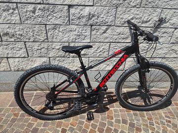 mtb bottecchia  per ragazzo 