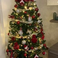 Albero di natale 160 cm senza addobbi INCLUSE LUCI