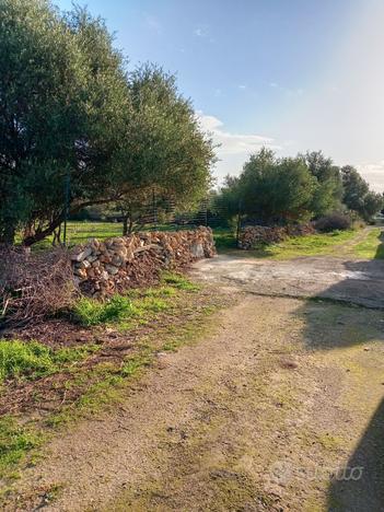 Terreno agricolo 1000 metri zona fontane bianche