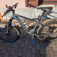 E-bike specialized turbo levo