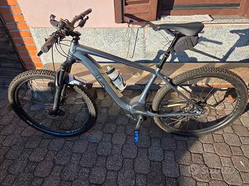 E-bike specialized turbo levo