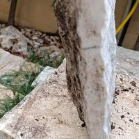 giardino  chianche 