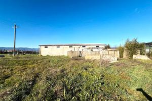 2 ampi Magazzini con terreno circostante