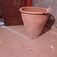 bucata 