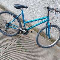 Mountain bike funzionante per donna