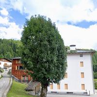 Stupendo appartamento in Val di Zoldo (Zoldo Alto)