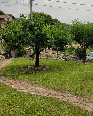 Il melo casa di paese con giardino