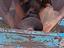 Immagine 3