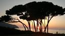 bilo-3-5-p-l-a-2-5-km-dal-golfo-baratti-9
