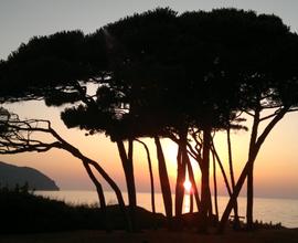 Bilo (3/5 p.l.) a 2,5 km dal GOLFO BARATTI - 9