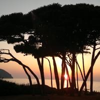 Bilo (3/5 p.l.) a 2 km da GOLFO BARATTI - 9