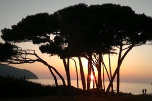 Dal 6 al 13 Bilo a 2 km da GOLFO BARATTI - 9