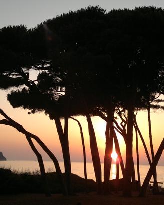 Bilo (3/5 p.l.) a 2 km da GOLFO BARATTI - 9