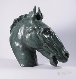 Busto cavallo in bronzo