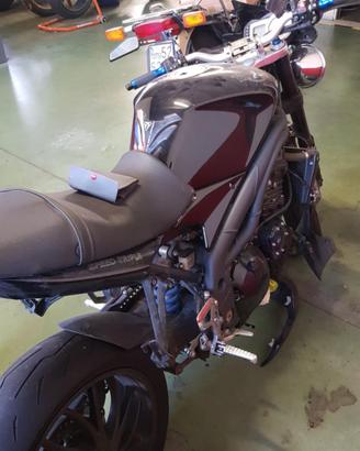 Tutti i ricambi Triumph Speed Triple 1050 2008