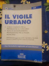 Il vigile urbano