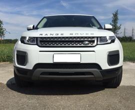 LAND ROVER Evoque 2.0 pure 150 CV