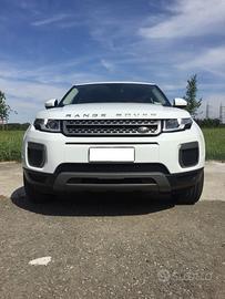 LAND ROVER Evoque 2.0 pure 150 CV