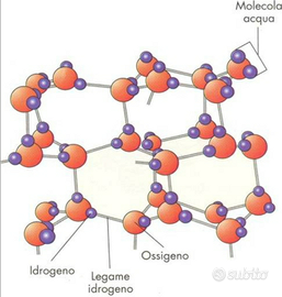 Lezioni di CHIMICA organica analitica biochimica