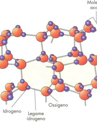 Lezioni di CHIMICA organica analitica biochimica