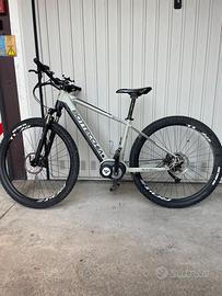 e-MTB Bottecchia 600 euro
