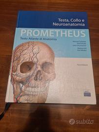 Testo tlante di anatomia Prometheus terza edizione