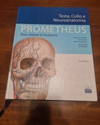 Testo tlante di anatomia Prometheus terza edizione