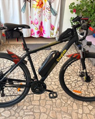 Bicicletta elettrica