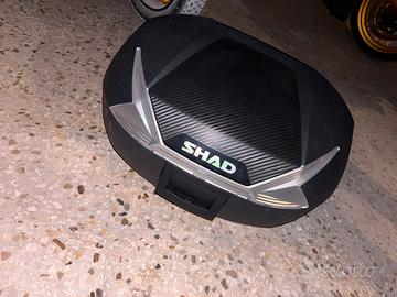 Shad bauletto